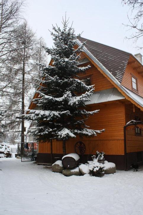 Agroturystyka U Marii Białka Tatrzańska Exterior foto